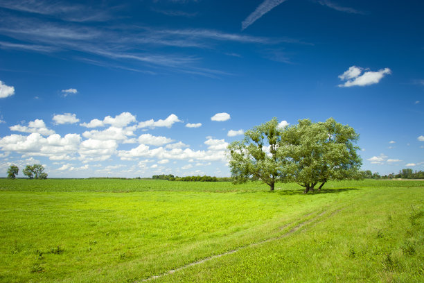 草地上有树，天空中有云图片下载