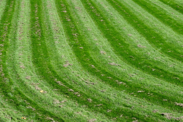 修剪草坪形成的图案图片下载