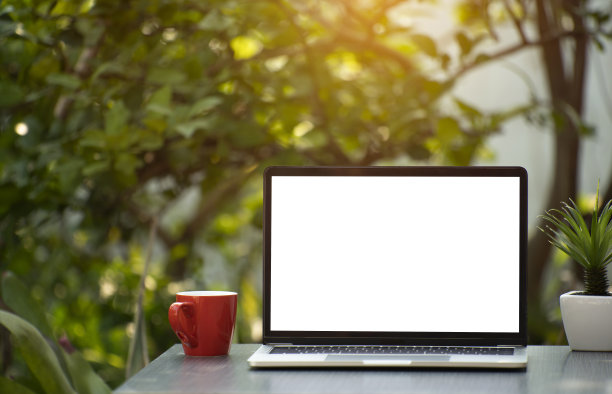 早上在花园里用笔记本电脑和一杯咖啡图片下载