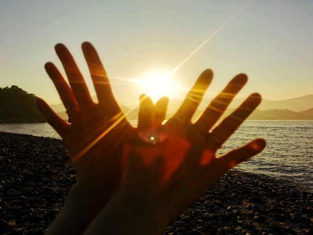 用爱飞图片下载