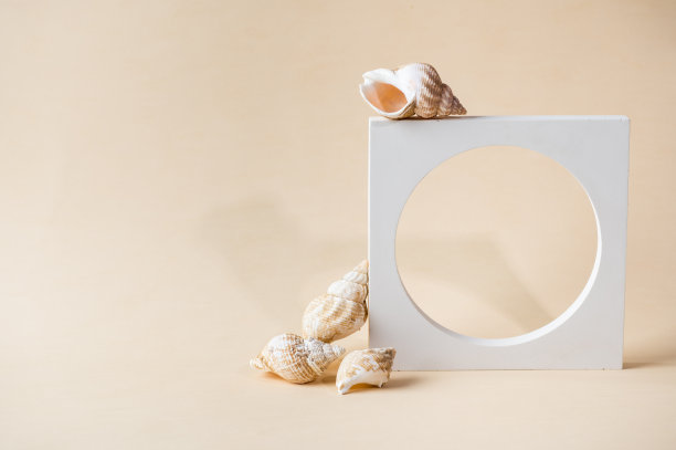 白色裙台米色背景。模板，演示产品的模型。柔和的色彩风格的组成与自然贝壳和几何形式。最小的概念。产品模型图片下载