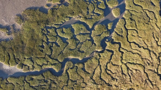 在澳大利亚的塔斯马尼亚斯天鹅河地区，抽象的纹理和纹理穿过潮汐河流系统的湿地图片下载