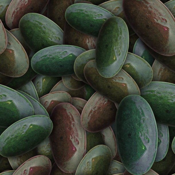 潮湿的海石背景。无缝模式。卵石纹理。宏观的特写镜头。图片下载