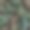 潮湿的海石背景。无缝模式。卵石纹理。宏观的特写镜头。图片下载