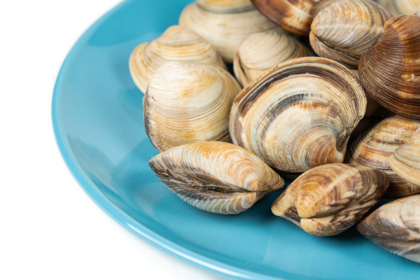 蛤蜊在蓝色盘子上的白色背景图片下载