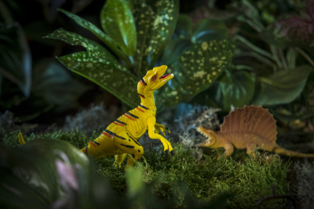 玩具恐龙与人工植物设置图片下载