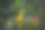 玩具恐龙与人工植物设置图片下载