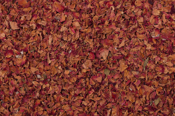 干茶背景图片下载