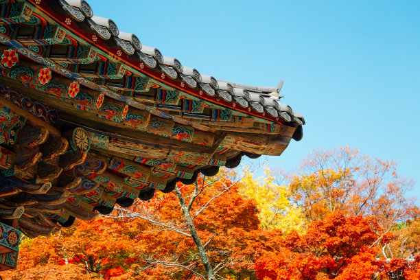庆州佛国寺的秋叶屋顶图片下载