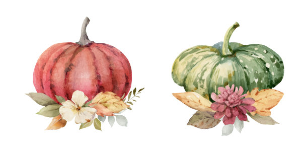 感恩节的水彩向量明信片，用五颜六色的南瓜安排问候，秋天的树枝和树叶孤立在白色 背景。图片下载