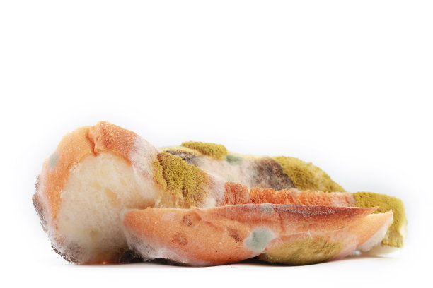 长霉面包图片下载