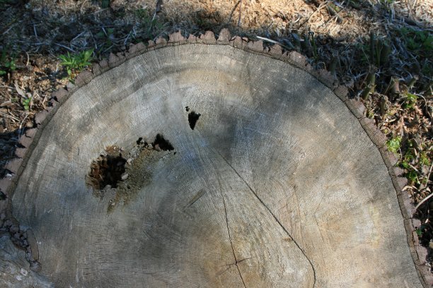 环境破坏图片下载