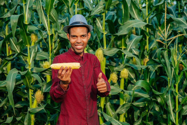 快乐的农夫戴着帽子看着相机，手里拿着玉米图片下载