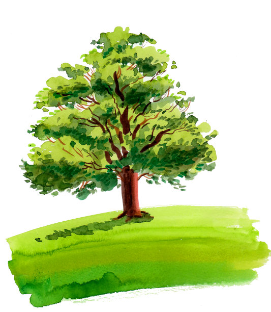 田野里的大树图片下载