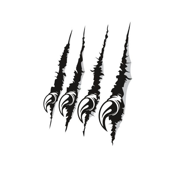 鸟、动物或怪物在纸上有锋利的爪印图片下载