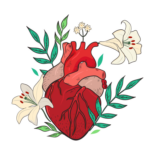 构图与百合花和心孤立在一个白色的背景。矢量图形。图片下载