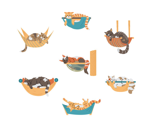 可爱的猫咪在吊床上休息图片下载