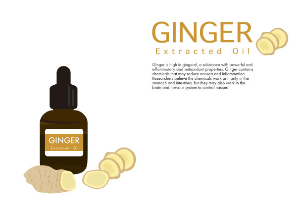 药用生姜精油提取病媒分离于白底ep03图片下载