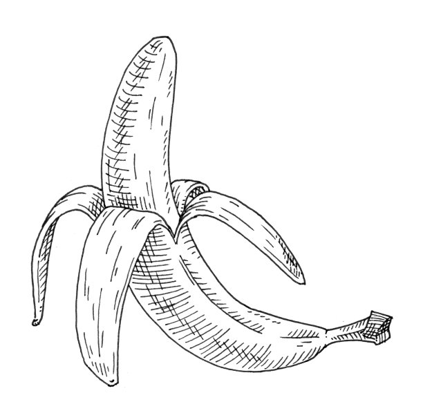 香蕉去皮的一半。古董雕刻黑色单色插图。孤立在白色图片下载