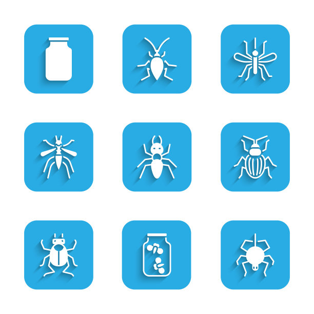 蚂蚁、萤火虫、蜘蛛、金龟子、甲虫、蚊子和玻璃图标矢量素材图片下载