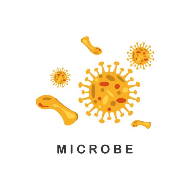 免疫系统矢量图标标志。健康细菌病毒保护。医学预防人类细菌。矢量图? ?图片下载