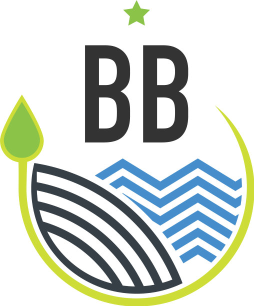 首字母bb自然创意设计模板图片下载