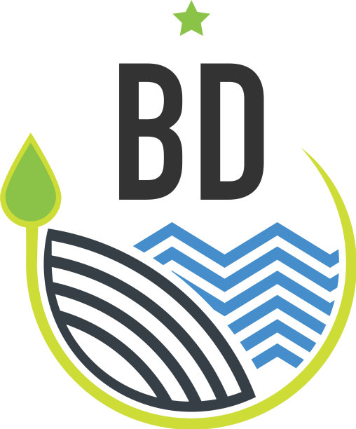 首字母bd自然创意设计模板图片下载