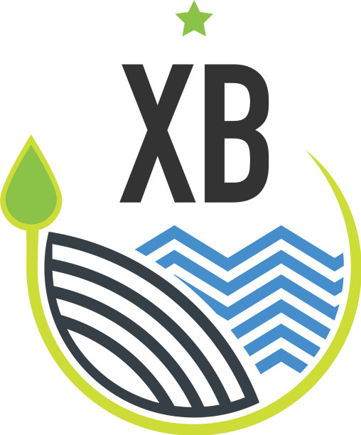 首字母xb自然创意设计模板图片下载