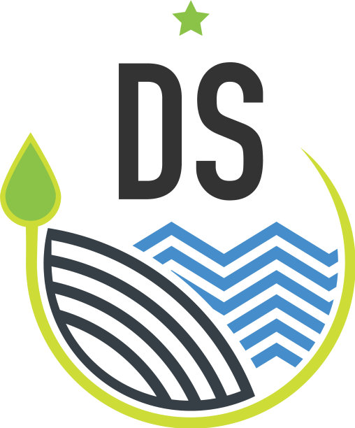 首字母ds自然创意设计模板图片下载
