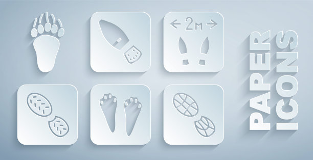 设置兔子和兔爪脚印，安全距离，人类脚印鞋，熊图标。向量图片下载