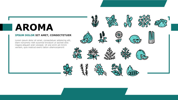 香薰药草落地头图片下载