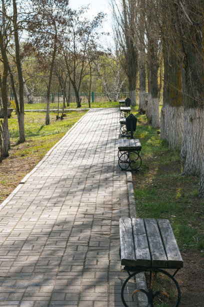 早春的公园里，灰色的小路和木凳图片下载