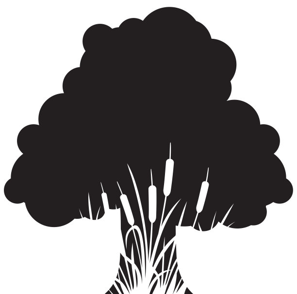 树和芦苇图片下载