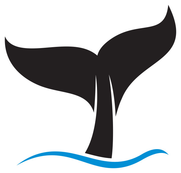 鲸鱼的尾巴图片下载