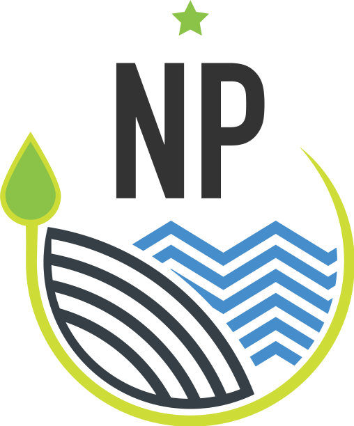 首字母np自然创意设计模板图片下载