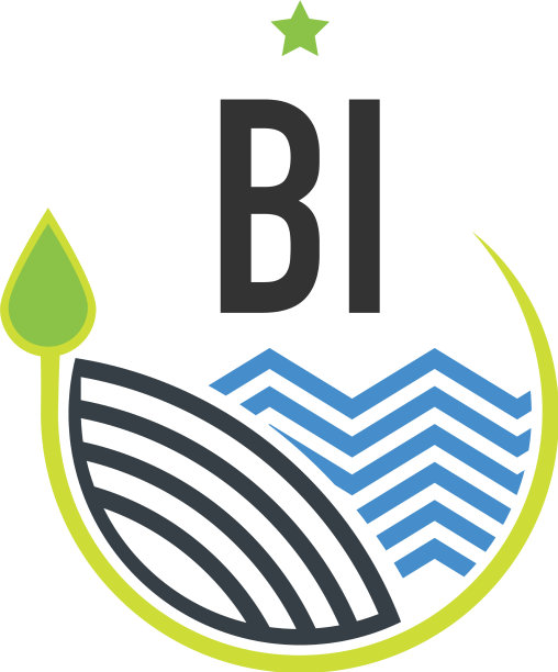 首字母双自然创意设计模板图片下载