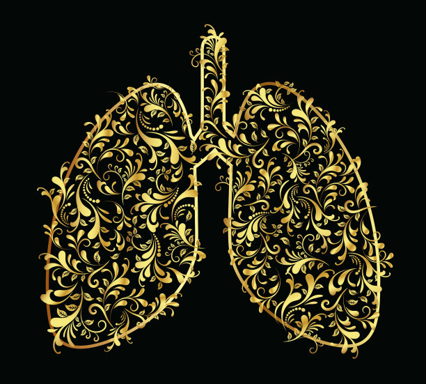 金色花肺向量插图。图片下载