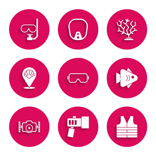 设置潜水面罩、手电筒、救生衣、鱼图片下载