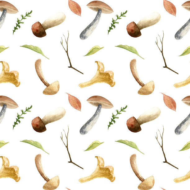水彩图案与蘑菇和植物图片下载
