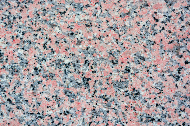 橙色的花，绿色的背景图片下载