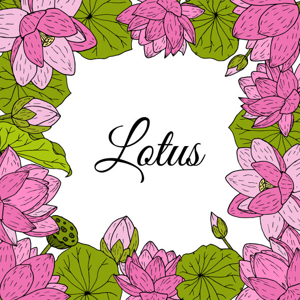 贺卡上有美丽的粉红色莲花图片下载