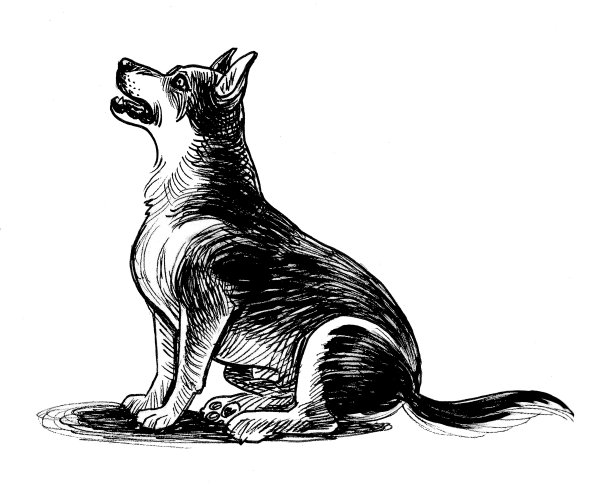 坐着的狗图片下载