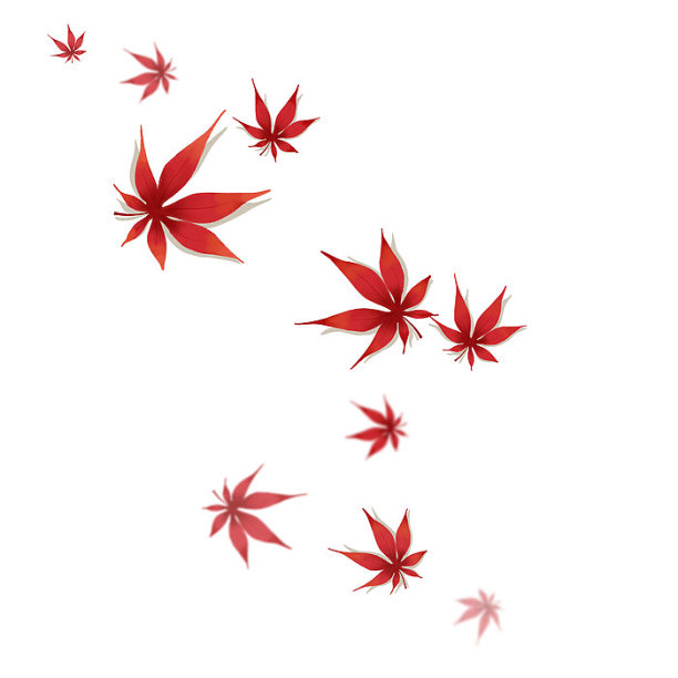 秋天落叶枫叶树叶图片下载