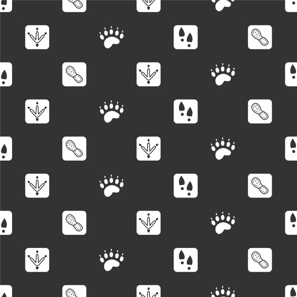 人的脚印，鞋，鸡爪和熊图片下载