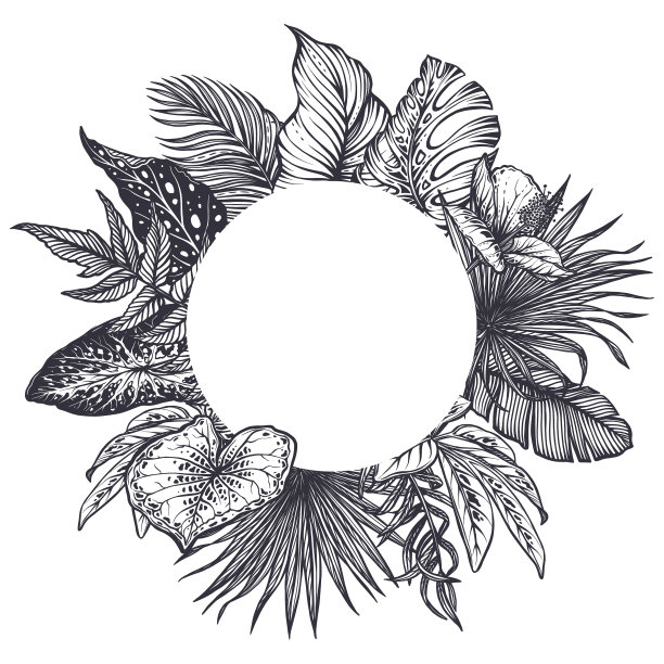 手绘热带花卉框架图片下载