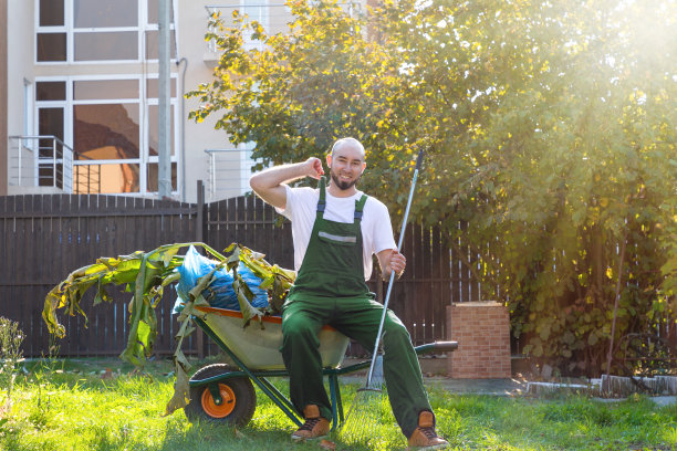 身穿绿色制服的园丁微笑着坐在装着树叶的手推车上。阳光灿烂。院子里清洗图片下载