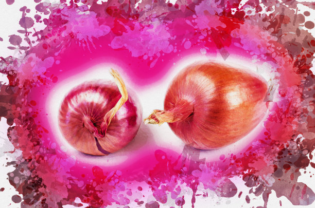 意大利洋葱Ramata di Milano。两种成熟的根菜在图片下载