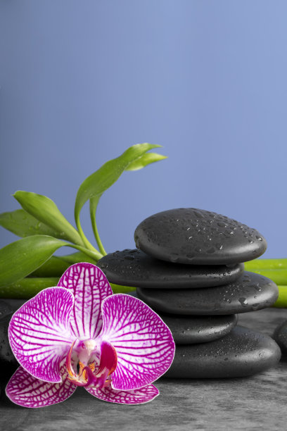 水疗概念——黑色按摩石、兰花、竹杆图片下载