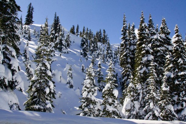 飓风山脊附近美丽的多雪山坡图片下载