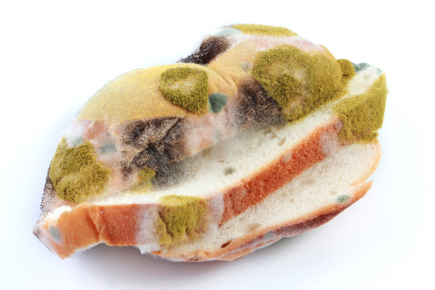 长霉面包图片下载